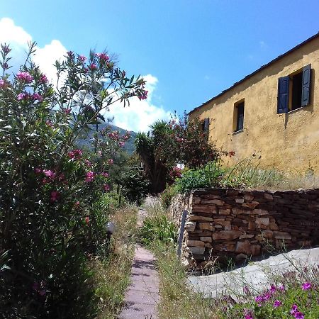 Ikarian Centre - Accommodation & Mountain Hiking 埃夫迪洛斯 外观 照片