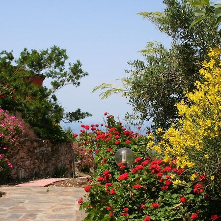 Ikarian Centre - Accommodation & Mountain Hiking 埃夫迪洛斯 外观 照片