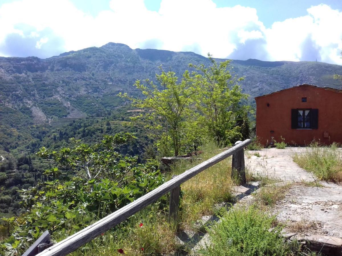 Ikarian Centre - Accommodation & Mountain Hiking 埃夫迪洛斯 外观 照片