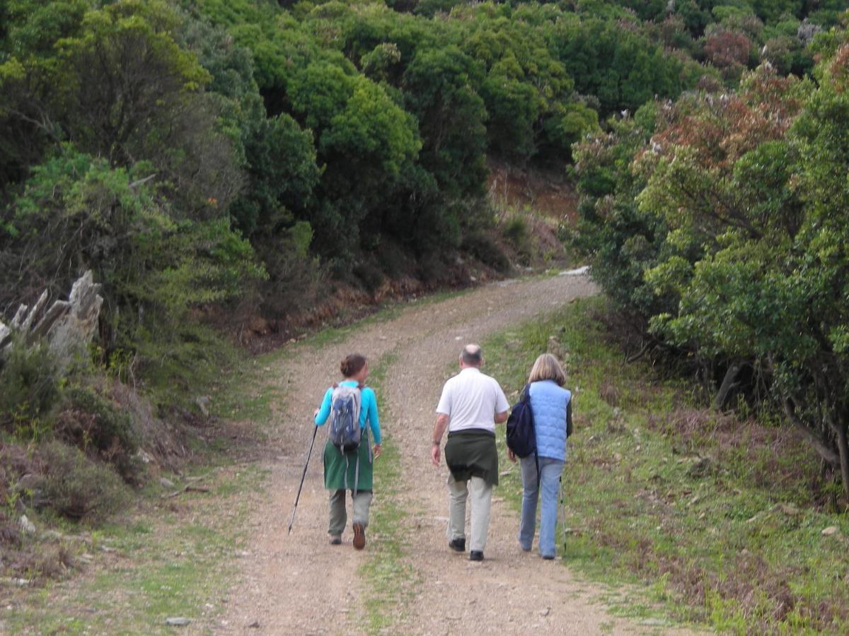 Ikarian Centre - Accommodation & Mountain Hiking 埃夫迪洛斯 外观 照片