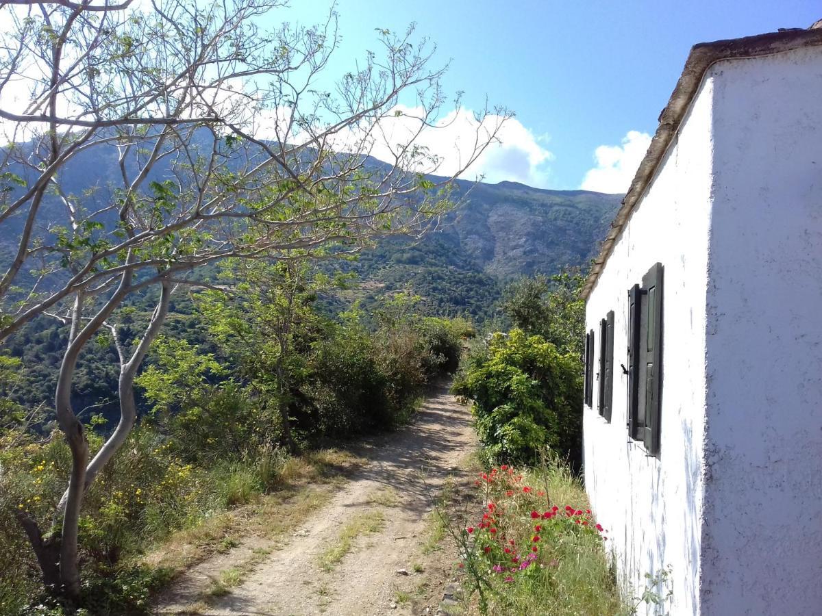 Ikarian Centre - Accommodation & Mountain Hiking 埃夫迪洛斯 外观 照片