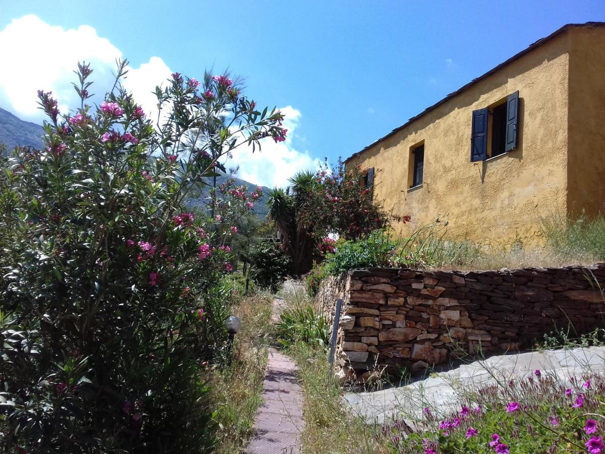 Ikarian Centre - Accommodation & Mountain Hiking 埃夫迪洛斯 外观 照片