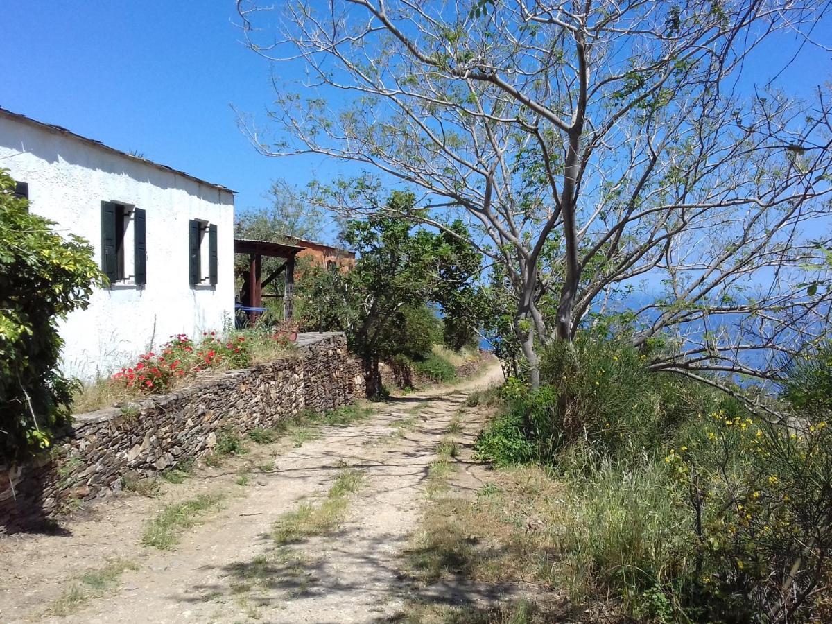 Ikarian Centre - Accommodation & Mountain Hiking 埃夫迪洛斯 外观 照片