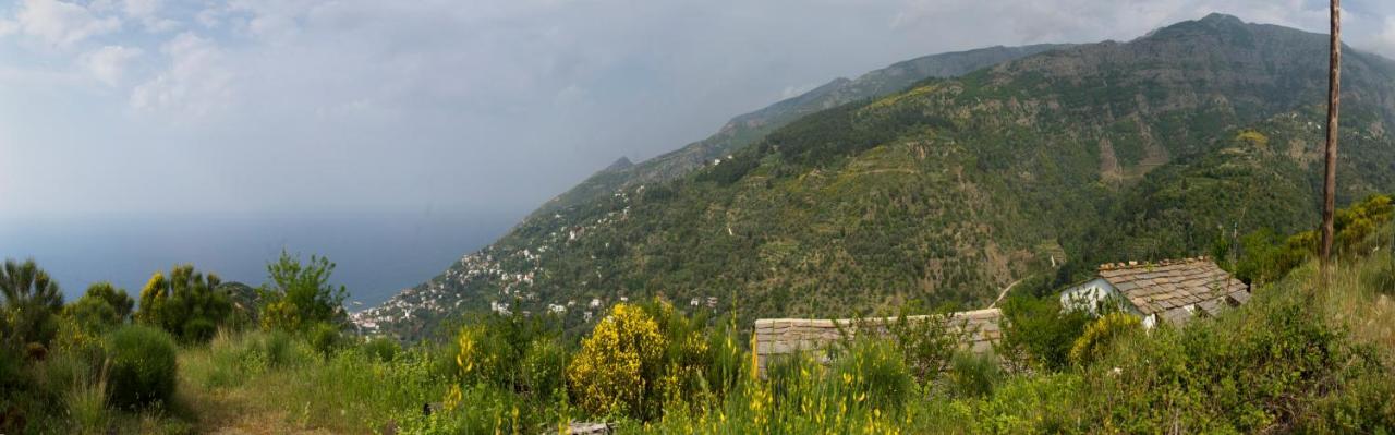 Ikarian Centre - Accommodation & Mountain Hiking 埃夫迪洛斯 外观 照片