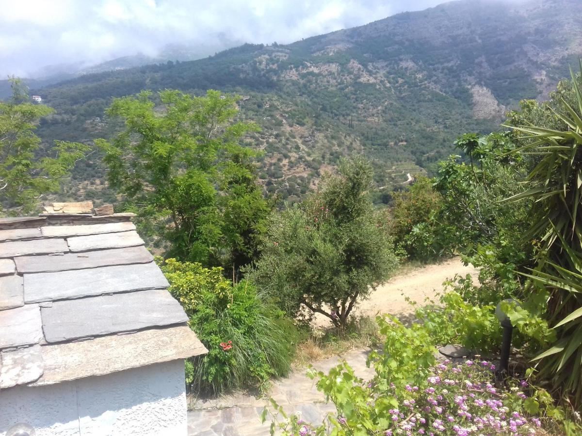 Ikarian Centre - Accommodation & Mountain Hiking 埃夫迪洛斯 外观 照片