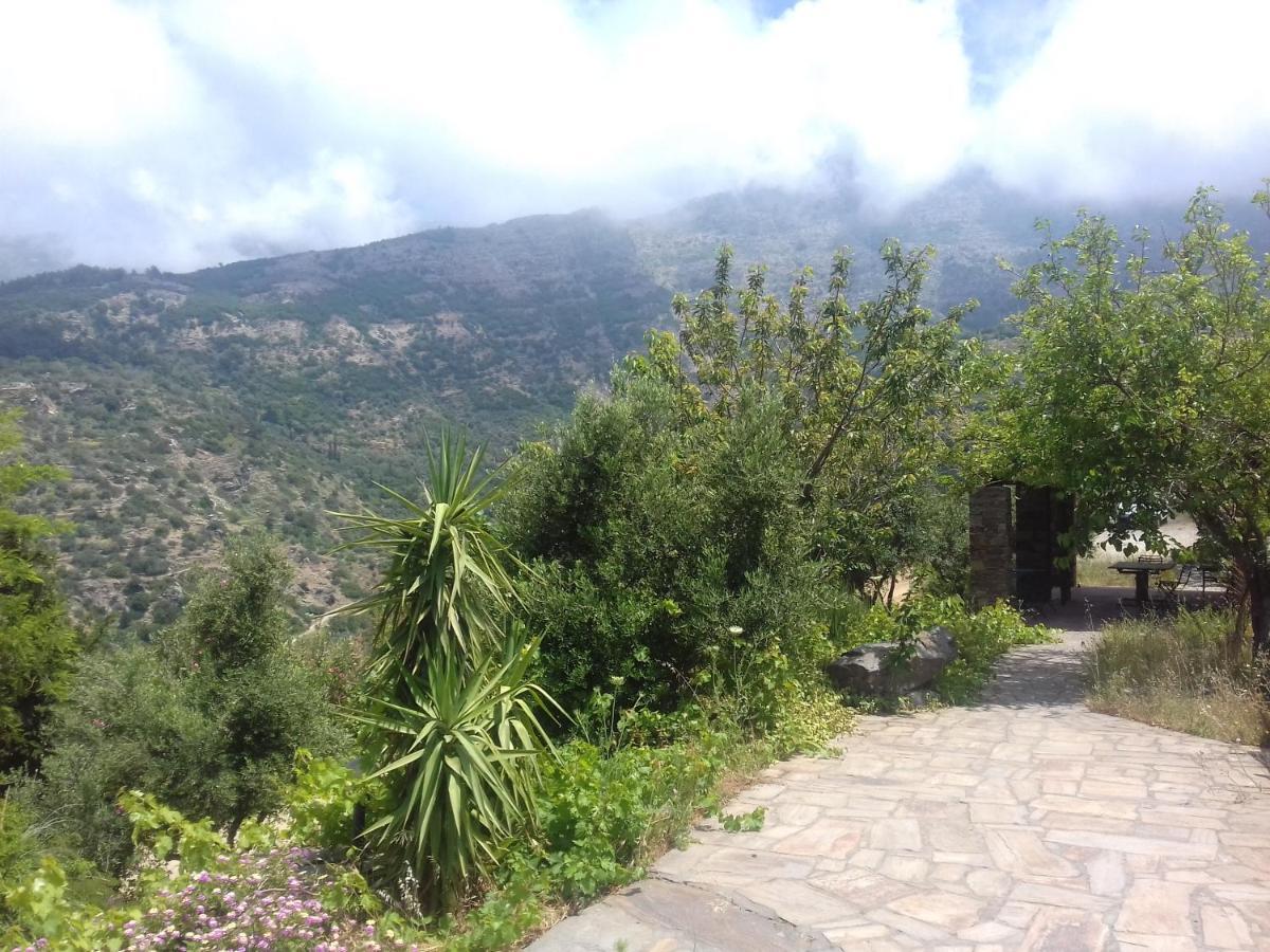 Ikarian Centre - Accommodation & Mountain Hiking 埃夫迪洛斯 外观 照片