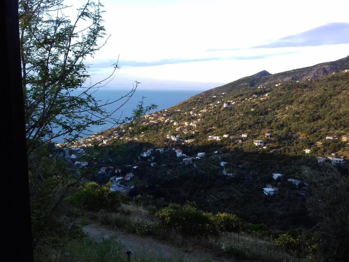 Ikarian Centre - Accommodation & Mountain Hiking 埃夫迪洛斯 外观 照片